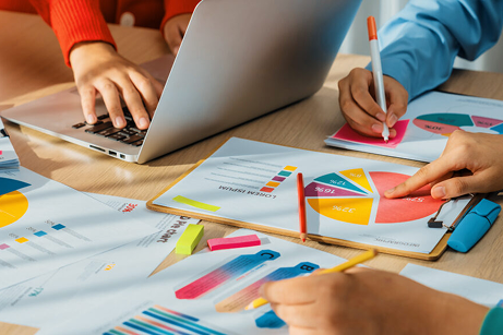 Temporary Power BI Developer